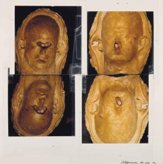 Bruce Nauman - Untitled (New Museum Image)