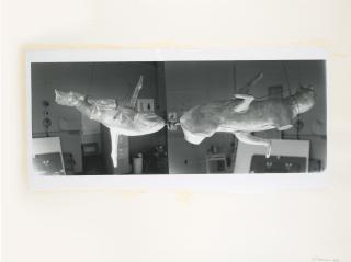 Bruce Nauman - Untitled