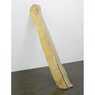 Bruce Nauman - Untitled