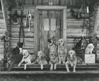 Bruce Weber - The Gang At Little Bear Ranch, Montana, 1996Silver Print. On The Reverse, Signed, Titled, Dated And Numbered 9/30 In Pencil. Mounted And Framed.