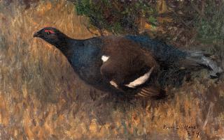 Bruno Liljefors - Black Grouse