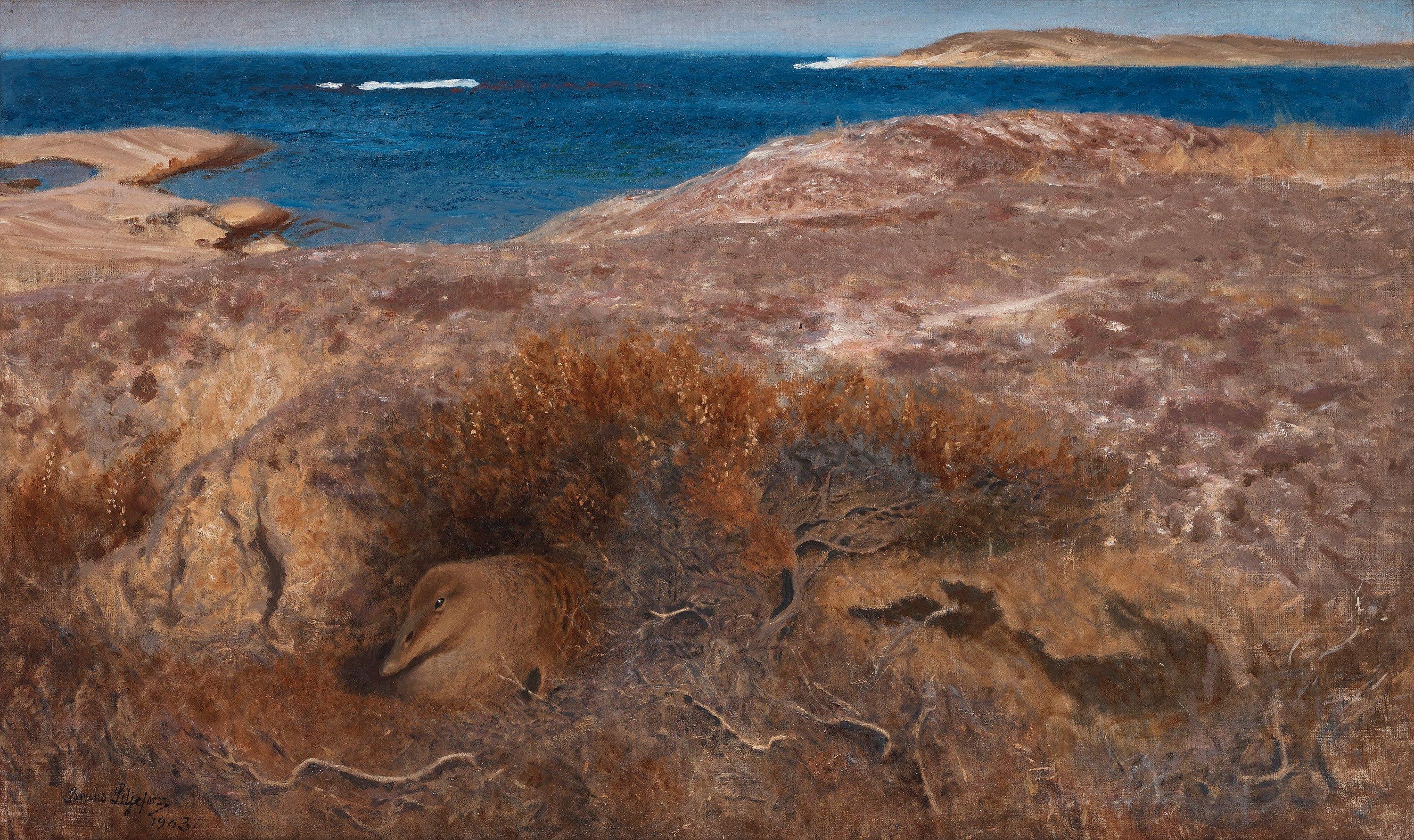 Bruno Liljefors - Brooding eider