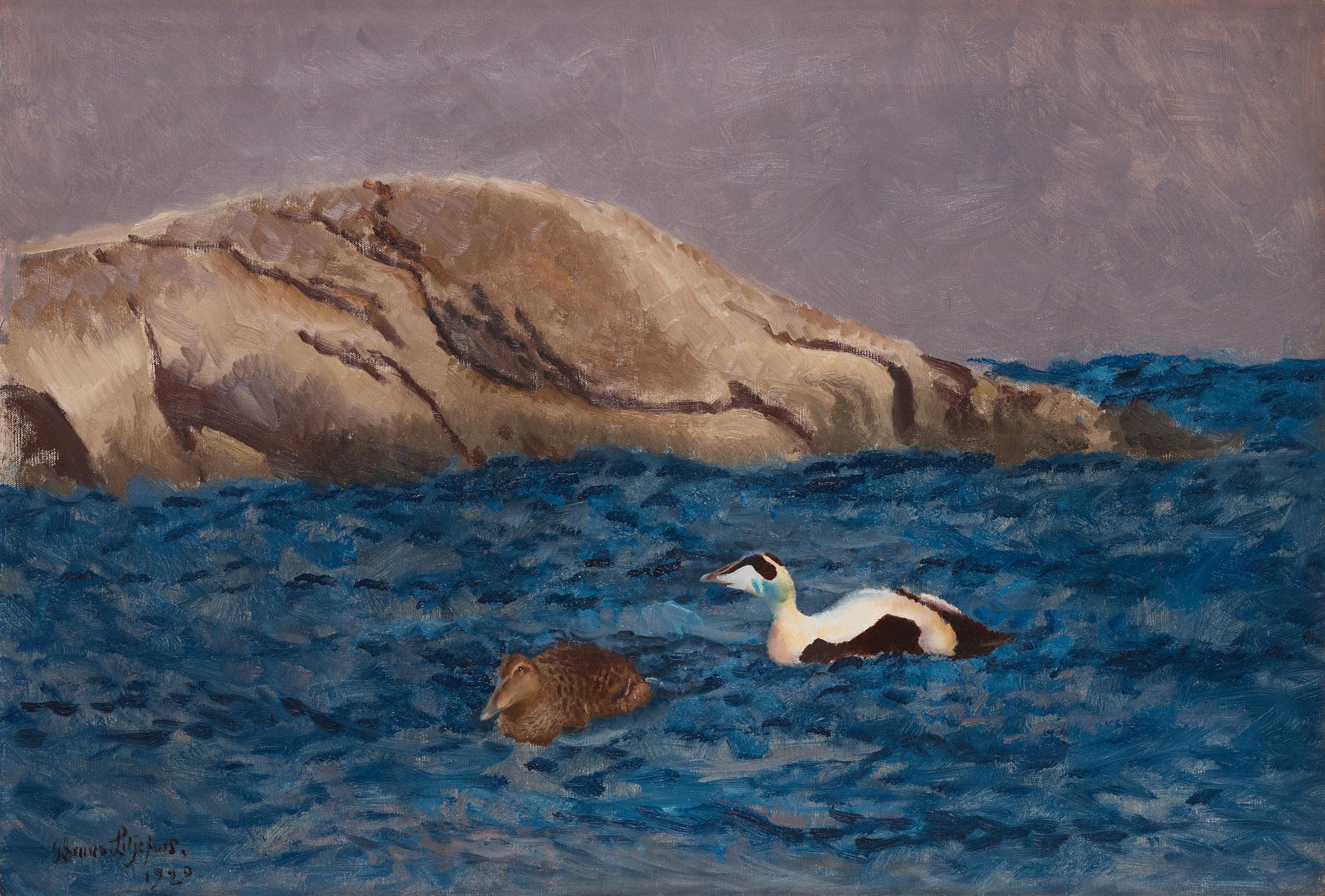 Bruno Liljefors - Eiders on a skerry