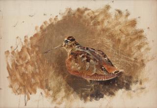 Bruno Liljefors - Eurasian woodcock (Scolopax rusticola)