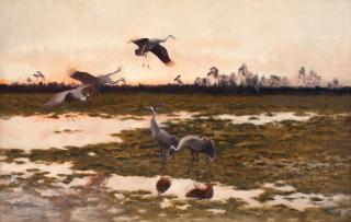 Bruno Liljefors - Fällande tranor