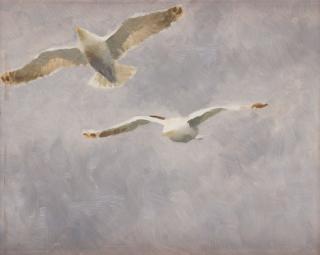 Bruno Liljefors - Flying seagulls.