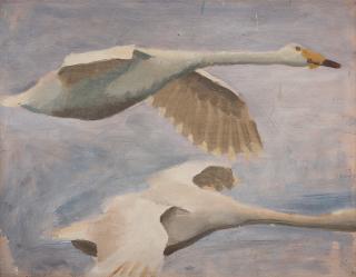 Bruno Liljefors - Flying Swan