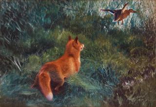 Bruno Liljefors - Fox and lifting mallard.