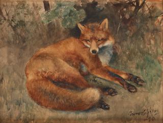Bruno Liljefors - Fox resting