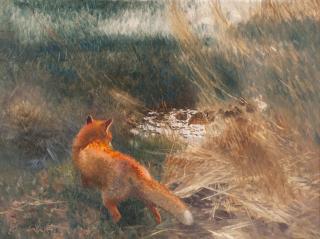 Bruno Liljefors - Fox stalking Mallards