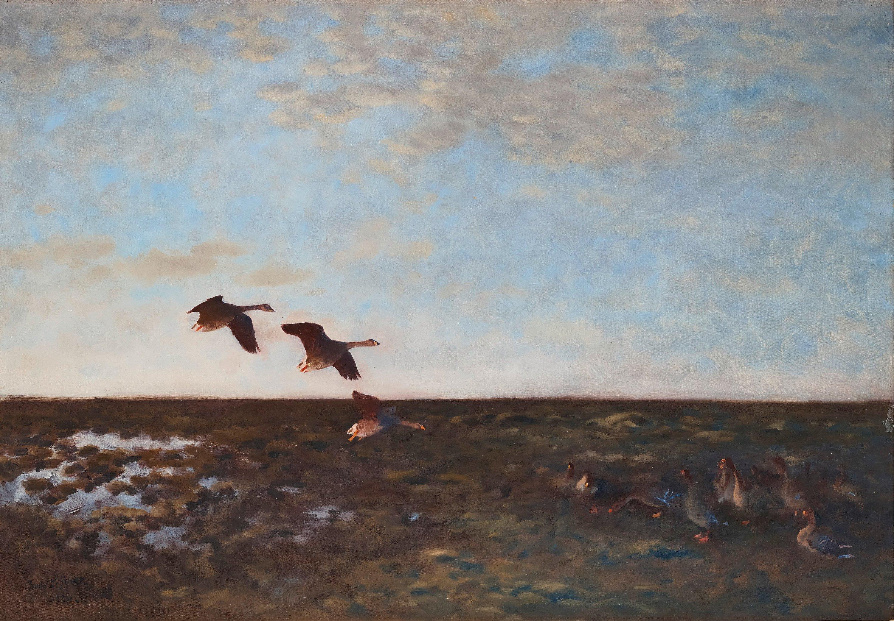 Bruno Liljefors - Geese