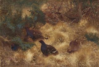 Bruno Liljefors - Grouse in Autumn