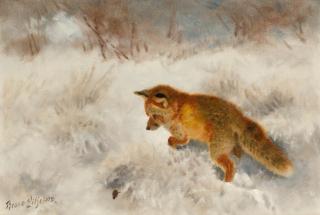 Bruno Liljefors - Räv som lurar på byte