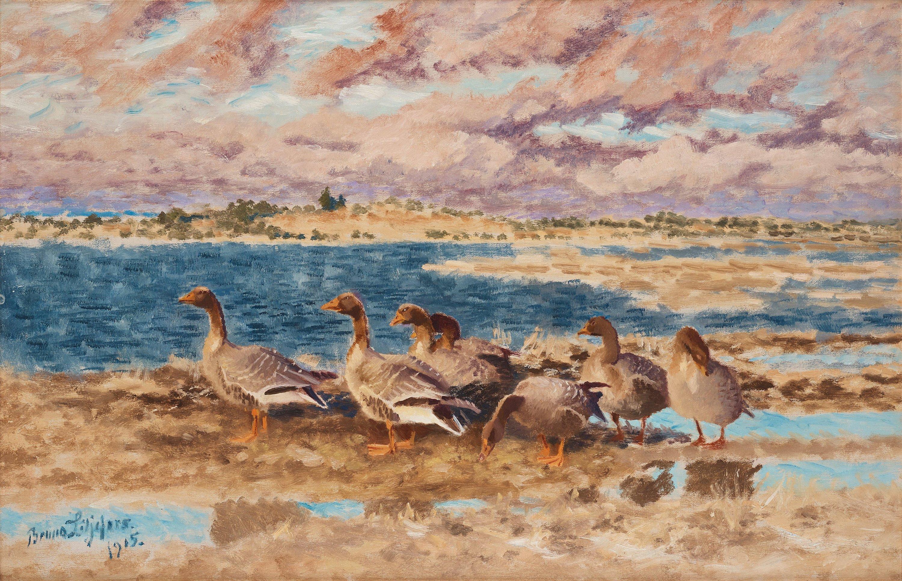 Bruno Liljefors - Resting geese