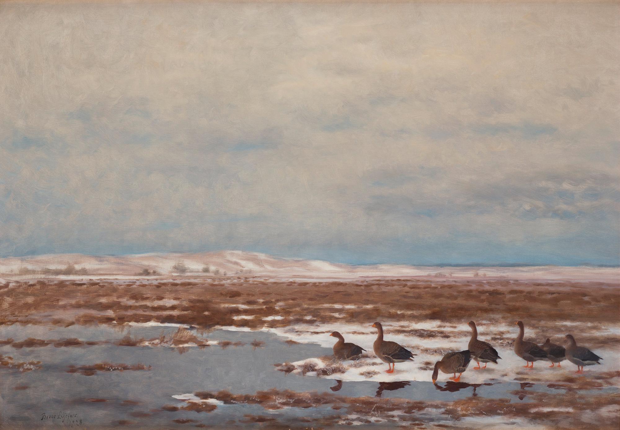 Bruno Liljefors - Resting Wild Geese