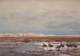 Bruno Liljefors - Resting Wild Geese