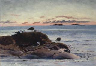 Bruno Liljefors - Sildemaker Pa Klippe Ved Solnedgang (Black-Backed Gulls On A Rock At Sunset)