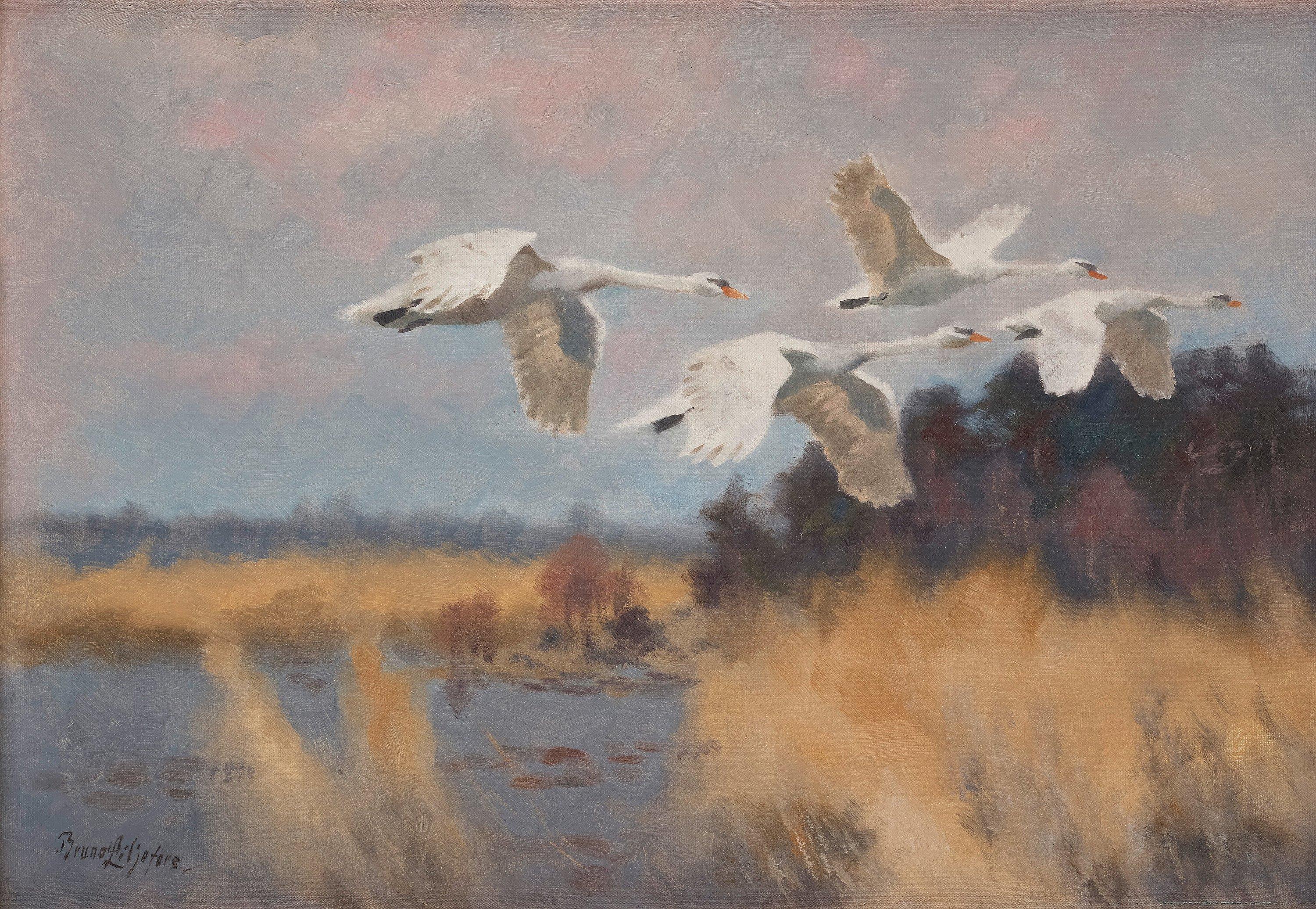 Bruno Liljefors - Swans in flight