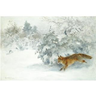 Bruno Liljefors - Swedish Räv I Vinterpäls (Fox In Winter Landscape)