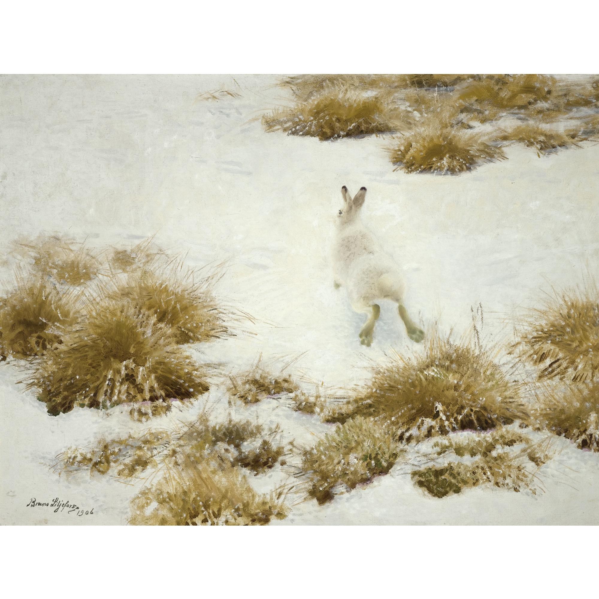 Bruno Liljefors - Swedish vinterhare Bland Tuvor (The Snow Hare)