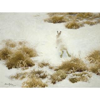 Bruno Liljefors - Swedish vinterhare Bland Tuvor (The Snow Hare)