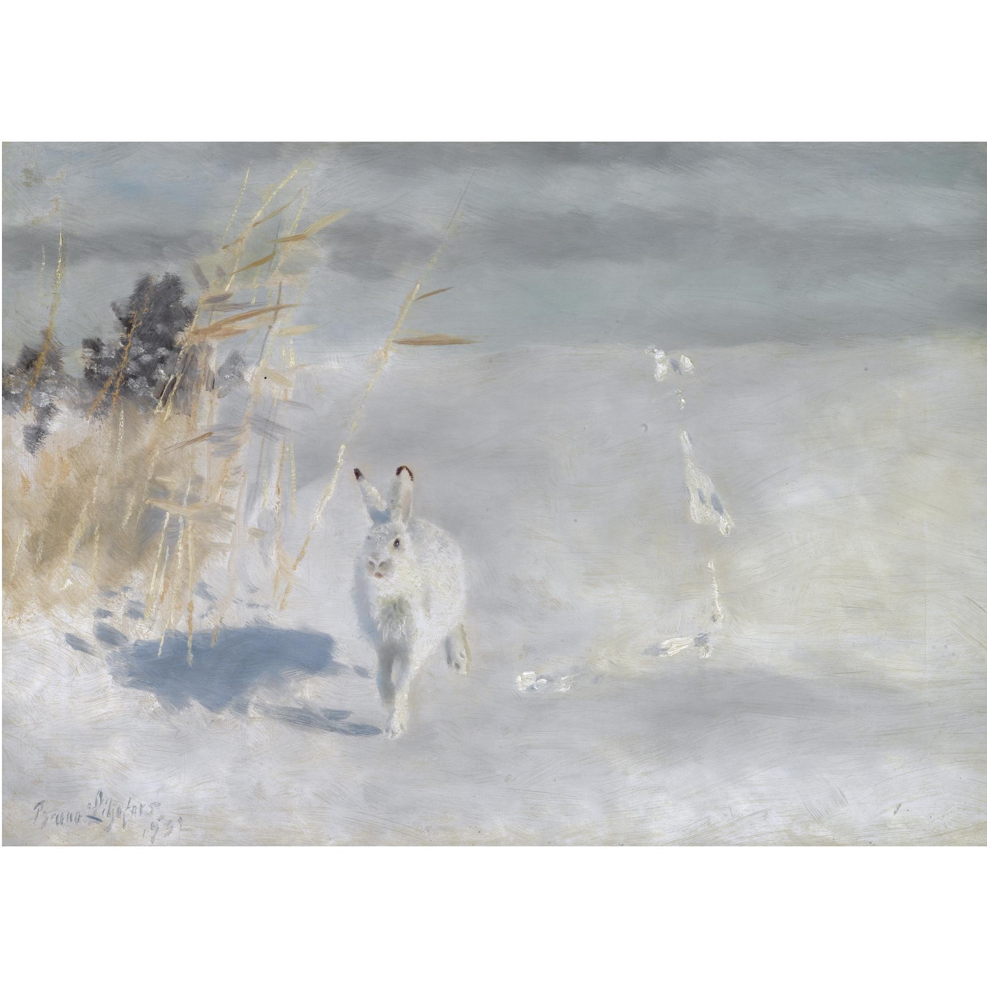 Bruno Liljefors - Swedish vinterhare (Snow Hare)