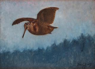 Bruno Liljefors - Woodcock
