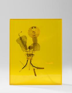 Bruno Munari - Fossili del 2000