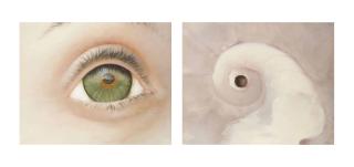 Bruno Perramant - Cyclone (diptyque)