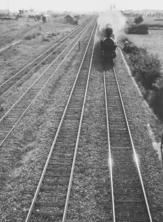Bruno Stefani - Il treno già vola sbuffando 1940 ca.