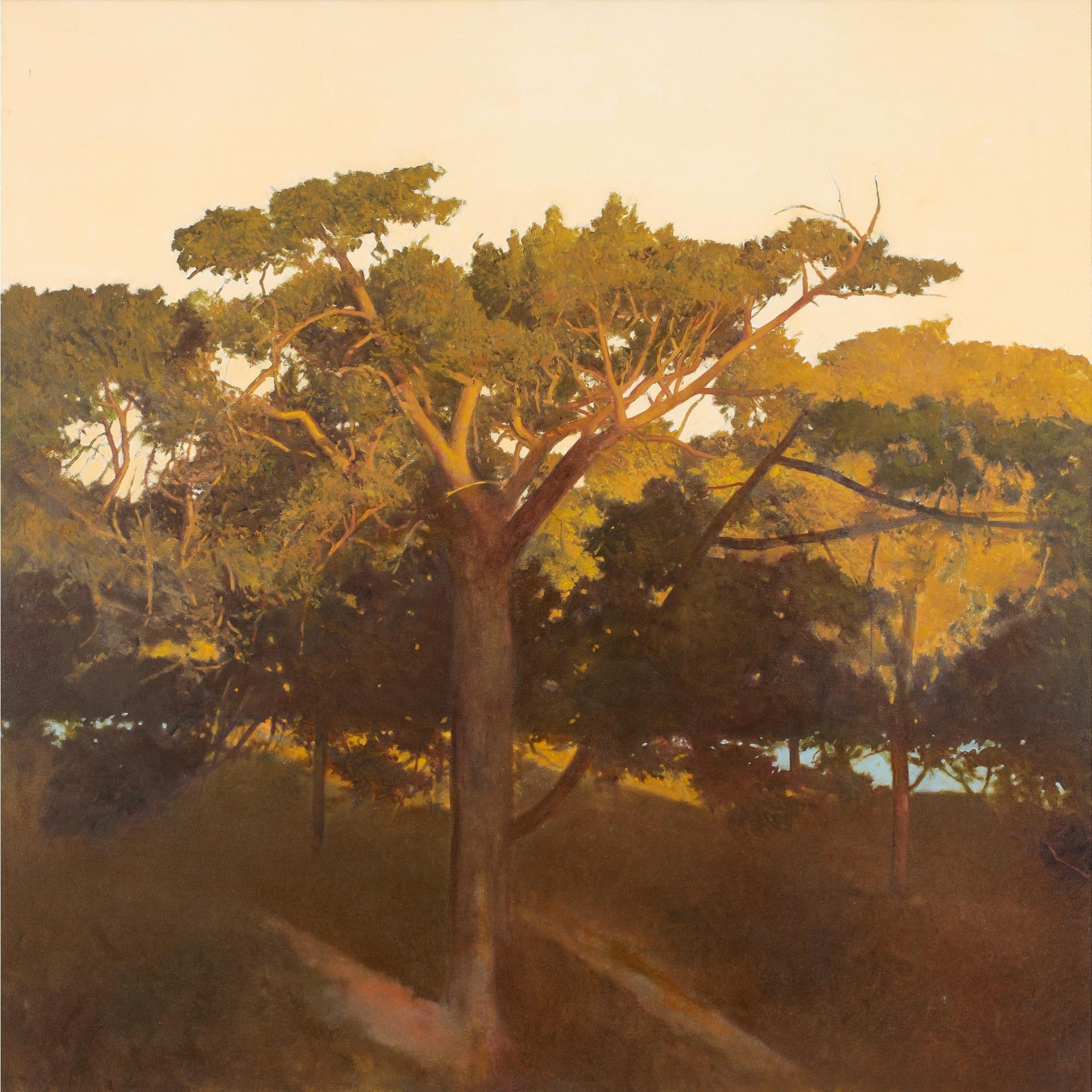 Bryan Westwood - Australian Centennial Park Sunset