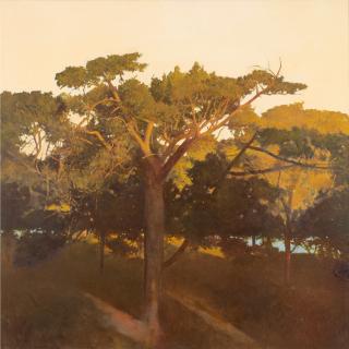 Bryan Westwood - Australian Centennial Park Sunset