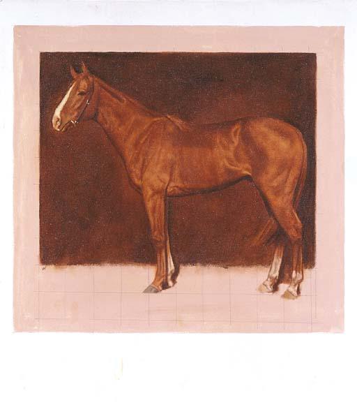 Bryan Westwood - Racehorse