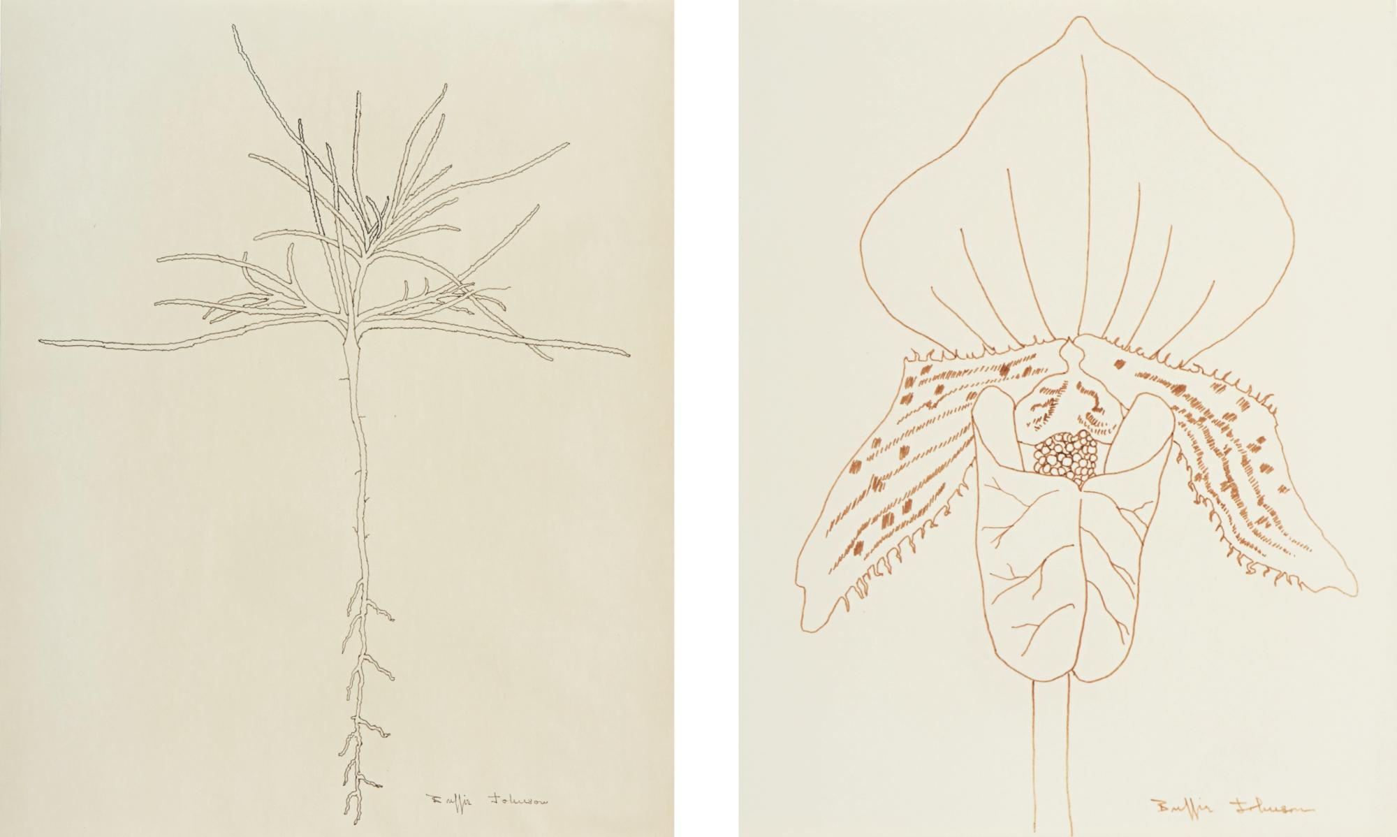 Buffie Johnson - Organic Form [Two Works]