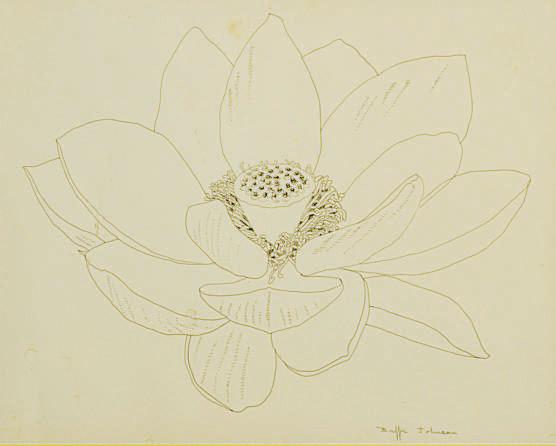 Buffie Johnson - Study of a flower