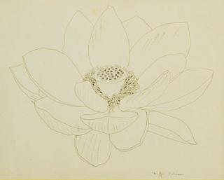 Buffie Johnson - Study of a flower