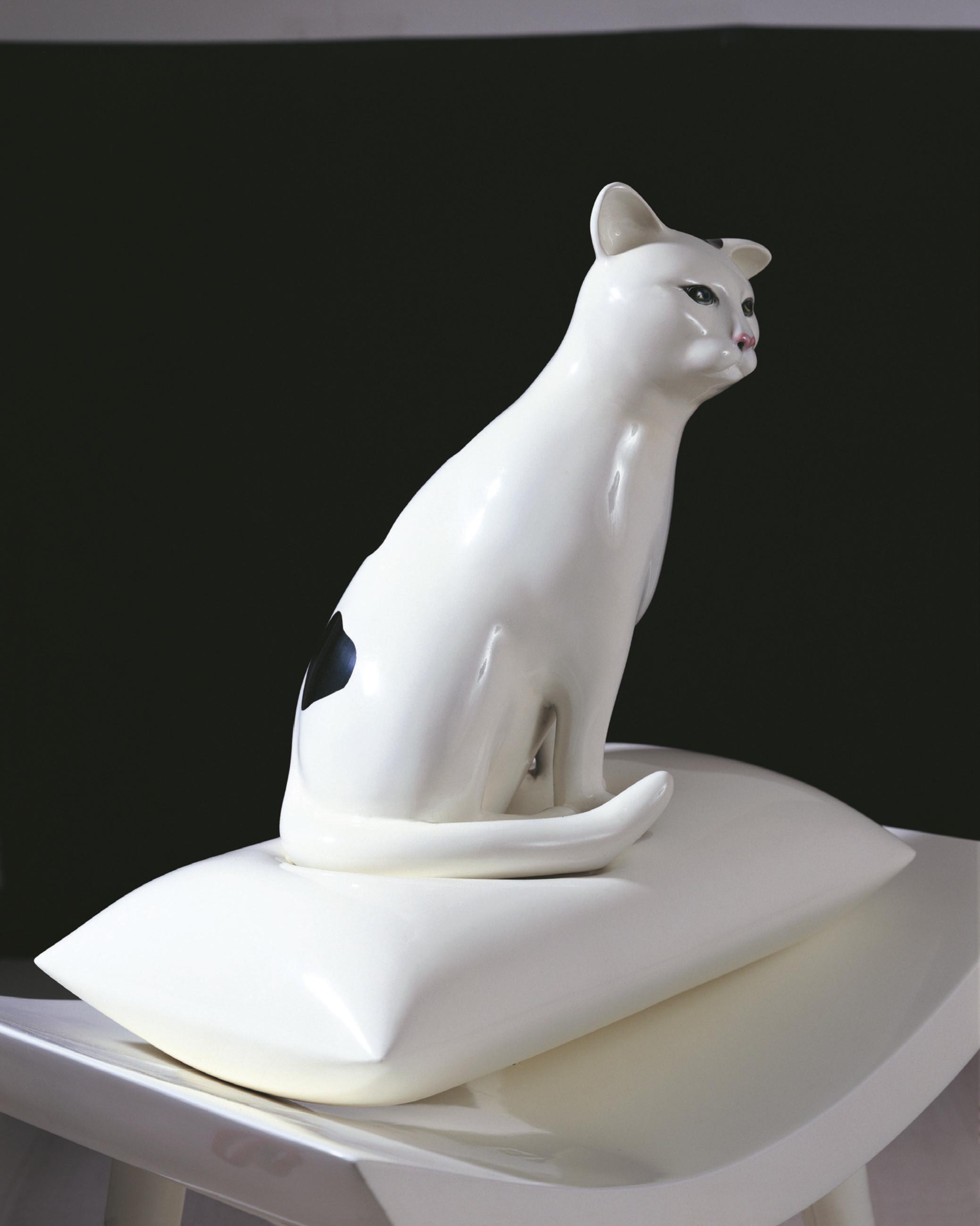 Bunga Jeruk - Kucing kagol (Frustrated feline) or Night watcher