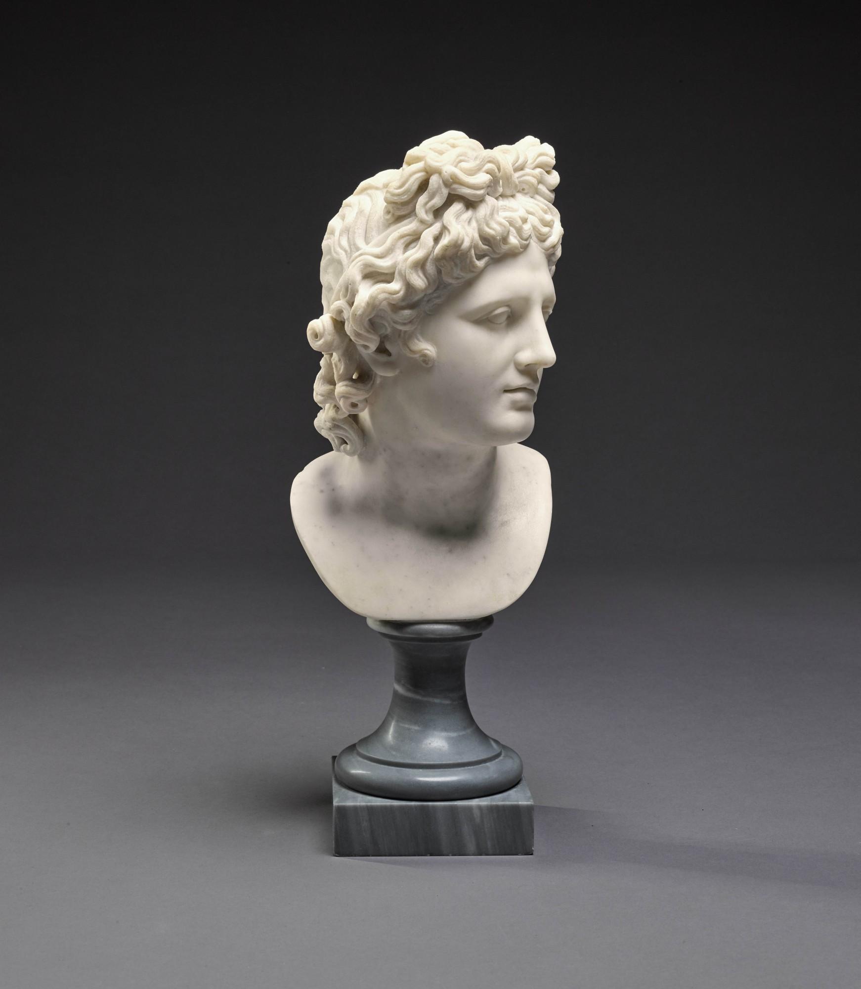 Bust of the Apollo Belvedere