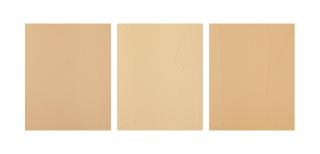 Byron Kim - Synecdoche (tryptique)