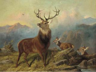Byron Webb - A stag and hinds in a landscape