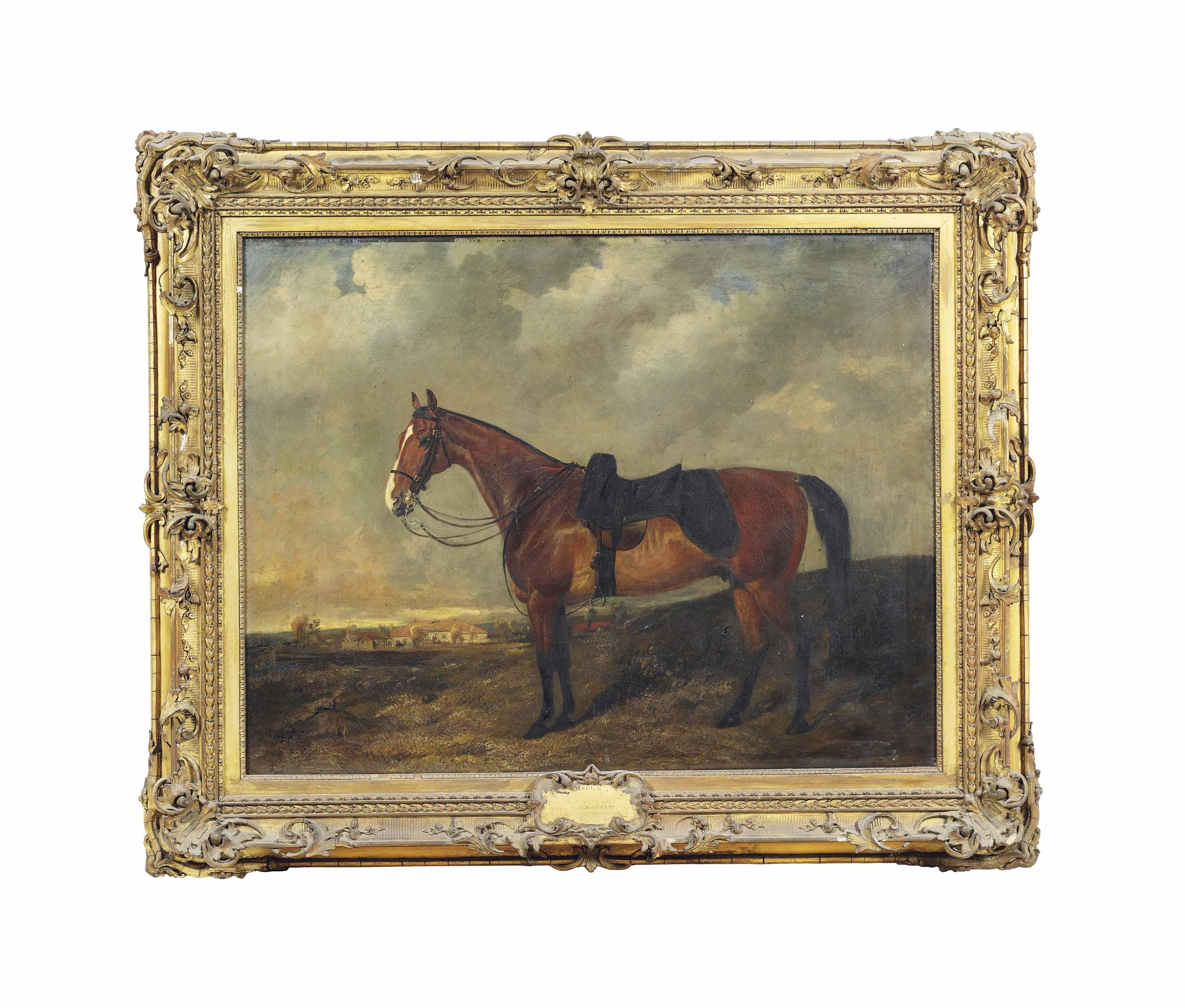 Byron Webb - Shadrach, a chestnut hunter in a landscape