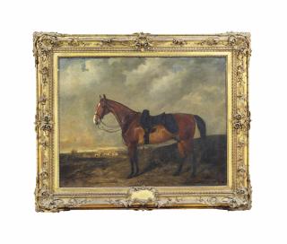 Byron Webb - Shadrach, a chestnut hunter in a landscape