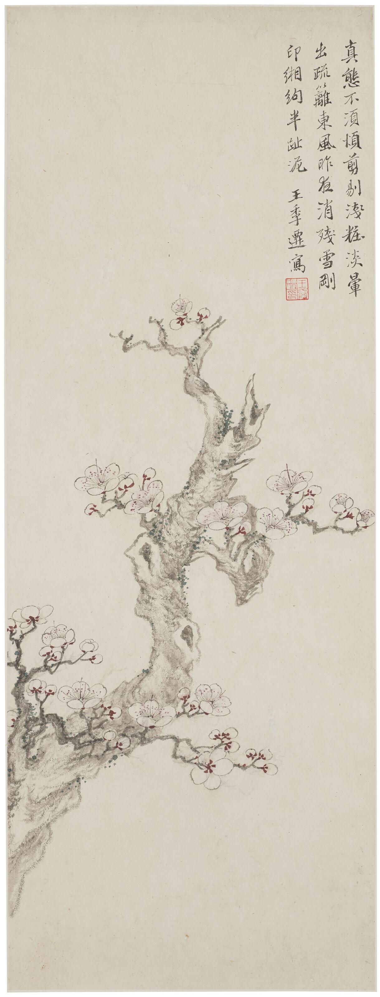 C. C. Wang - Prunus