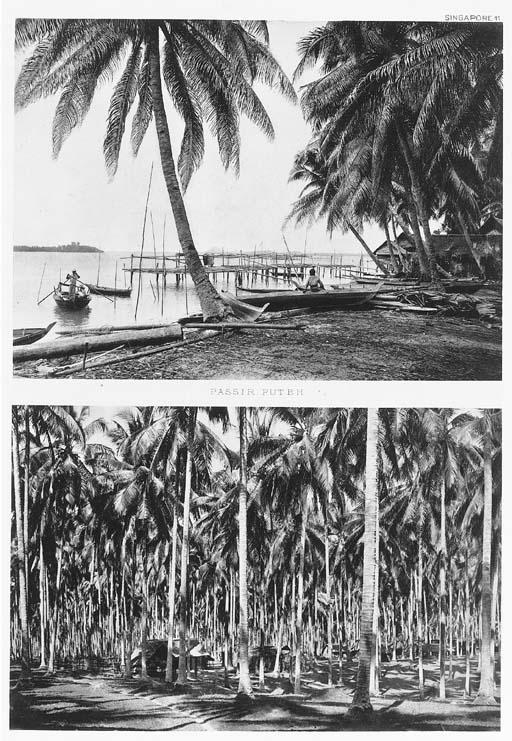 C. J. Kleingrothe - Sumatra\'s O. K.; Malay Peninsula, Medan-Deli: C. J. Kleingrothe