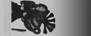 Cady Noland - Patty Hearse