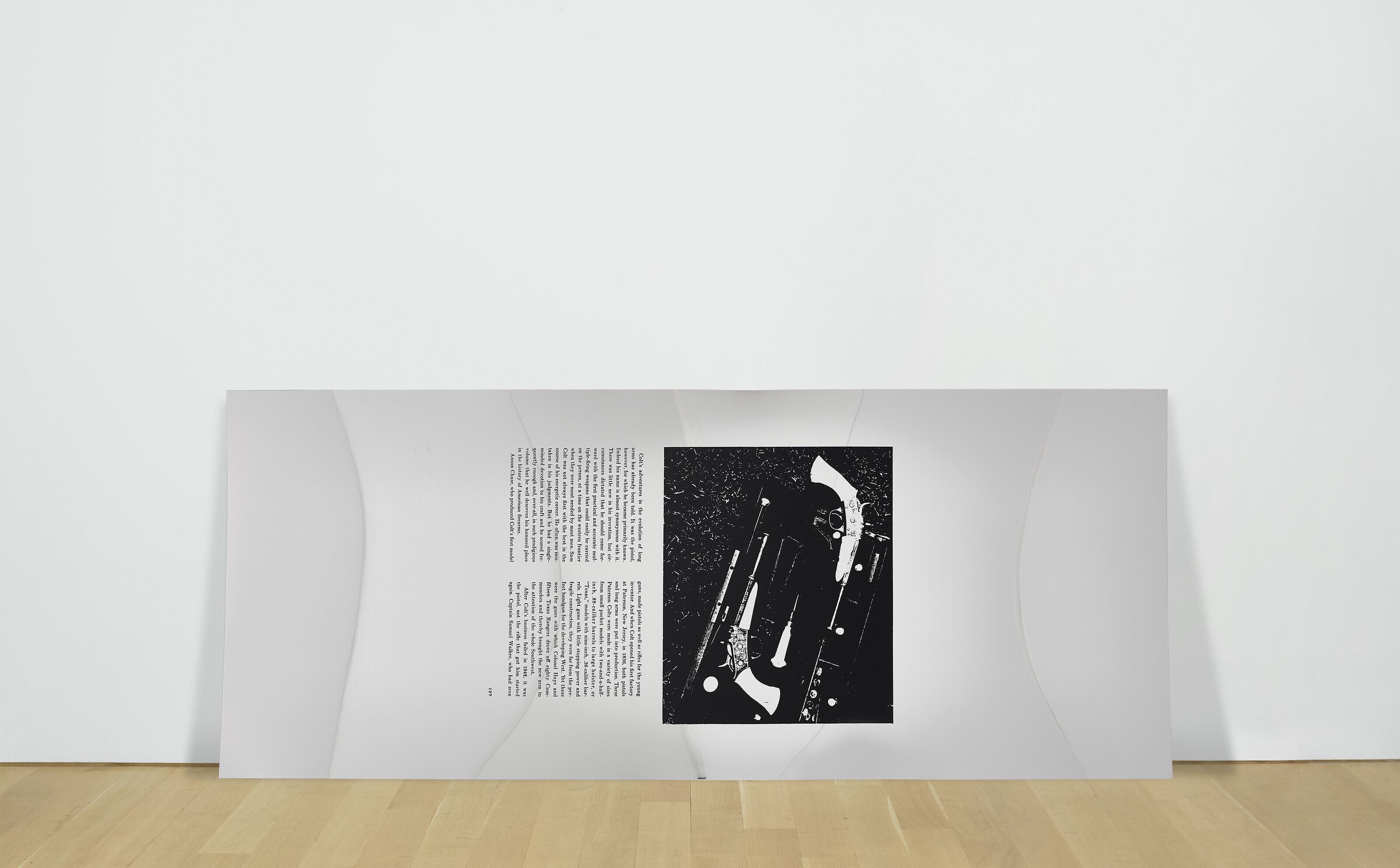 Cady Noland - Slippery Page