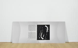 Cady Noland - Slippery Page