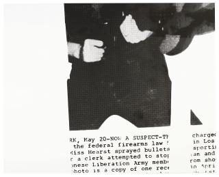 Cady Noland - Untitled (Patty Hearst)