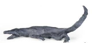 Cai Guo Qiang - Aligator