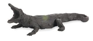 Cai Guo Qiang - Aligator